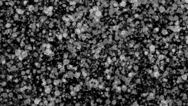 looped animation of white spots flying on a black background. 2d motion