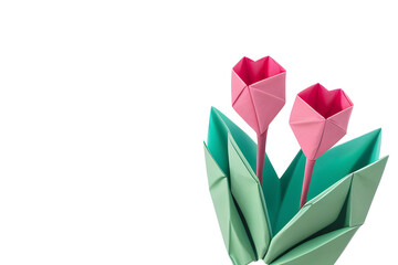 Paper origami pink flowers on white background, generative ai