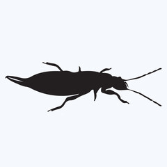 Earwig silhouettes and icons. Black flat color simple elegant Earwig animal vector and illustration.