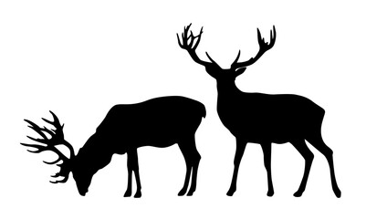 Realistic black silhouettes of a deer on transparent background