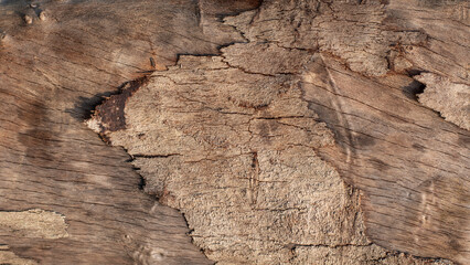 Fototapeta na wymiar Natural old textured wood background