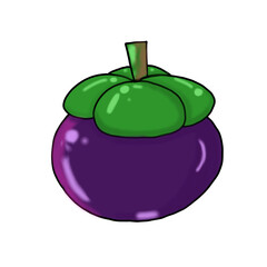 Shining mangosteen