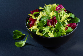 Feldsalatmischung in schwarzer Schale auf schwarzem Fond