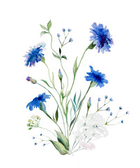 Watercolor blue cornflowers and wildflowers bouquet, summer wedding isolated illustration
