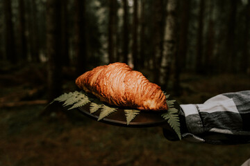 French croissant in a pine forest