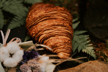 French croissant in a pine forest