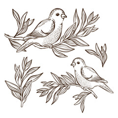 NIGHTINGALE ON TEA BRANCH Songbirds Sits On A Branch Monochrome Hand Drawn Sketch In Chinese Style Cartoon Clip Art Vector Illustration For Print
