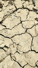 Fototapeta premium Dry and cracked soil in the heavy heat of sunlight