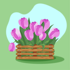 Bouquet of tulips, basket with flowers