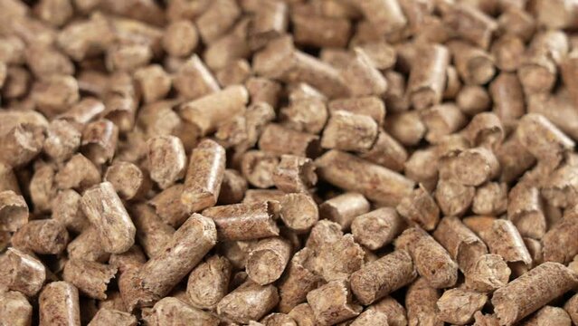 Close-up view 4k stock video footage of brown organic wooden pellets. Natural material video background