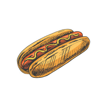 Hand-drawn colored sketch of hot dog isolated on white background. Fast food illustration. Vintage drawing. Great for menu, poster or restaurant background.