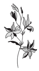 Obraz premium lace flower, bouquet, vector illustration