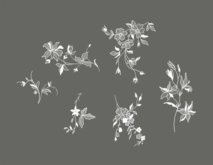 lace flower set, bouquet, vector illustration