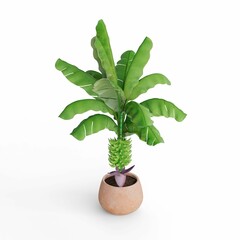 a potted plant with a banana tree growing inside of it, 3d rendering