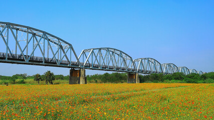 The spectacular Warren Truss  Old Railway Bridge over scenic flower field. Dashu , Kaohsiung,Taiwan.for branding,calender,postcard,screensave,wallpaper,poster,banner,cover,website.High quality photo