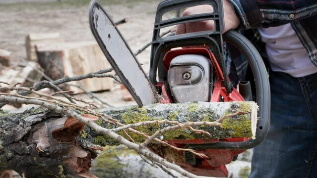 lumberjack, elderly man with a chainsaw in his hands saws tree branches into stumps in open air, close-up