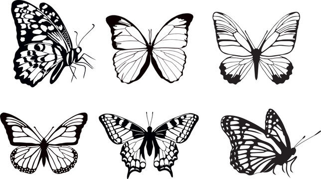 Vector set of monochrome butterflies. Beautiful insect with large black wings. Drawing of a flying beetle.Suitable for sandblasting, laser and plotter cutting..