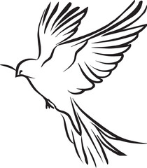 A beautiful domestic pigeon flying birds, line art drawing vector illustration