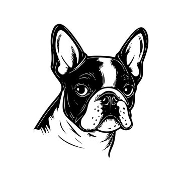 French Bulldog - Minimalist and Flat Logo - Vector illustration