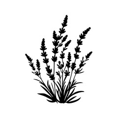 Fototapeta na wymiar Lavender - Minimalist and Flat Logo - Vector illustration