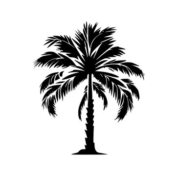 Palm Tree | Minimalist and Simple Silhouette - Vector illustration