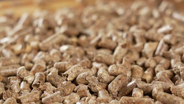 Close up view 4k video of brown organic wooden pellets. Natural wood material video background