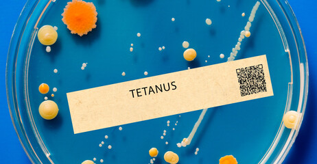 Tetanus - Bacterial infection that affects the nervous system and can cause muscle stiffness and...