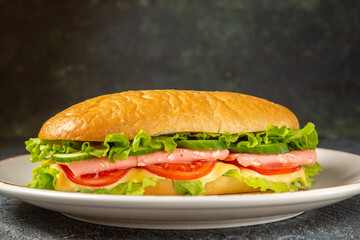 Tasty homemade sandwich on a white plate on dark distressed background with free space