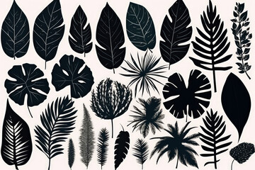 Exotic Leaf Silhouette On A White Background. Generative AI