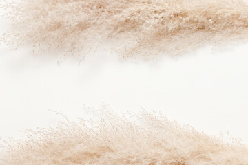Frame made from dried fluffy pampas grass on white wooden background, copy space. Reed grass...