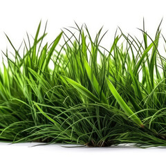 Green Grass On White Background. Generative AI