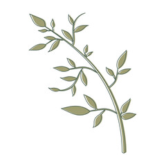 Minimalist Aesthetic Leaf