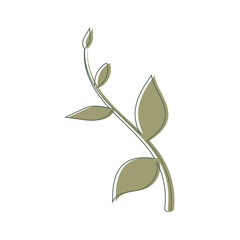 Minimalist Aesthetic Leaf