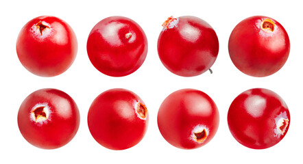 eight cranberries in different angles on a white isolated background