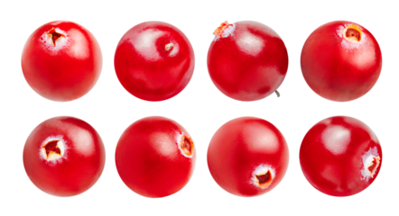 eight cranberries in different angles on a white isolated background