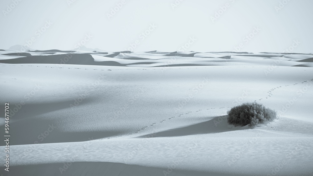 Wall mural Footprints on the sand dunes in White Sands National Park