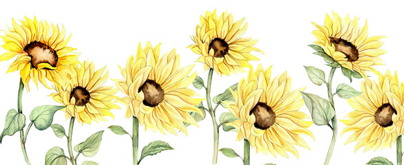 Watercolor horizontal seamless background with sunflowers. Butterflies in cartoon style. Hand drawn illustration of summer. Perfect for scrapbooking, kids design, wedding invitation. greetings cards.