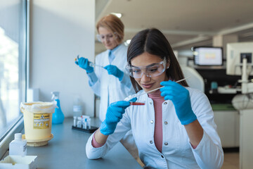 Petri dish in hand of young scientist near microscope in laboratory. Bacterial culture plate examination by a female researcher in microbiology laboratory