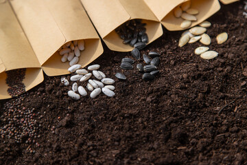 Sow different seeds in the garden. Selective focus.