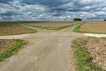 Naklejka premium Unpaved rural road winding its way through a lush, green field