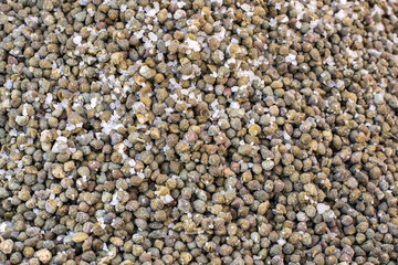 Capers in salt close up. Spices, organic food. Speciality. Capers background