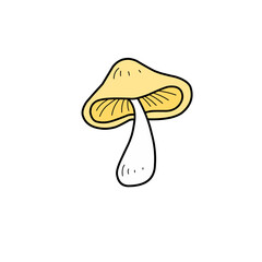 mushroom illustration