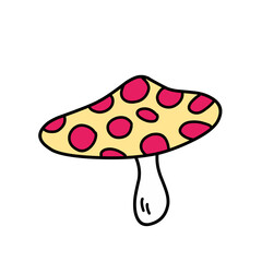 mushroom illustration