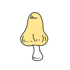 mushroom illustration