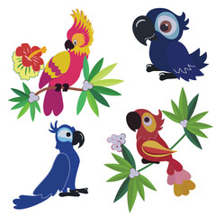 exotic birds set parrots