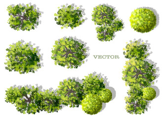 set of green grass, Vector of abstract watercolor tree top view isolated on white background for landscape plan and architecture layout drawing, elements for environment and garden