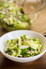 Young cabbage salad with purple onions in a bowl .