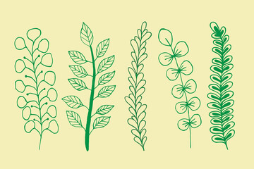 Set of graphic branches in doodling style.Minimal style blossom illustration design for logo, wedding, invitation, decor.