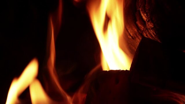 Video of fire with firewood (dry wood) in macro shot, detail. 