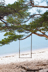 swing over the baltic sea